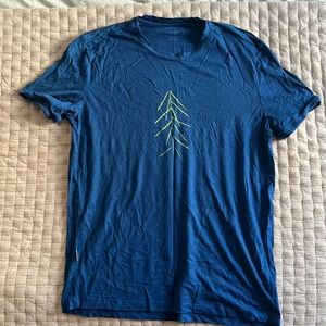 Icebreaker 100% merino.